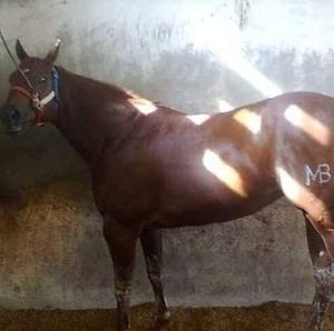 Meet your Posher, Matias